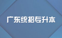 非应届生可以报考广东统招专升本吗？