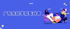 广东东软学院专升本可以填报几个志愿？