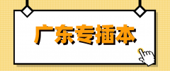 距离22年专插本报考还有4个月，现阶段应该准备些什么吗？