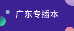 2022年广东专插本成绩查询步骤