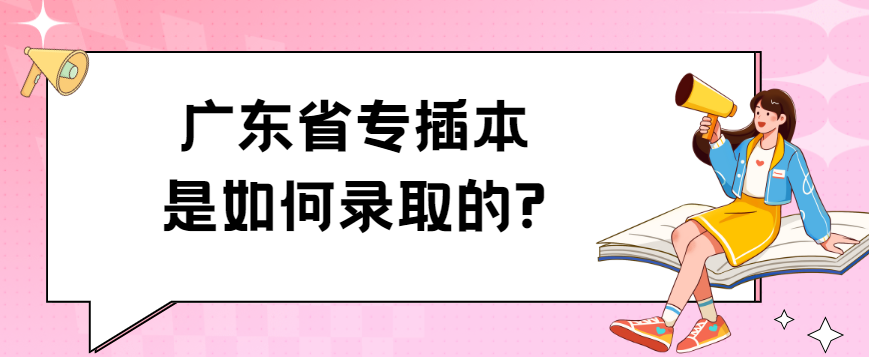 广东省专插本是如何录取的?