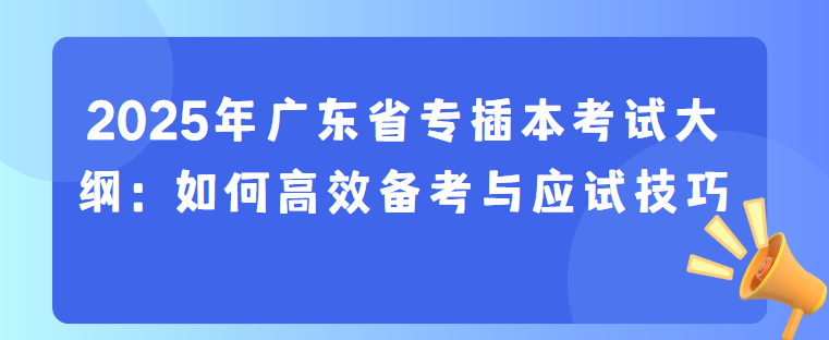 2025年广东省专插本考试大纲：如何高效备考与应试技巧